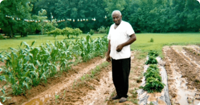 Man standing in a corn field