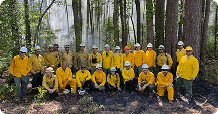 Forestry workers in yellow suits
